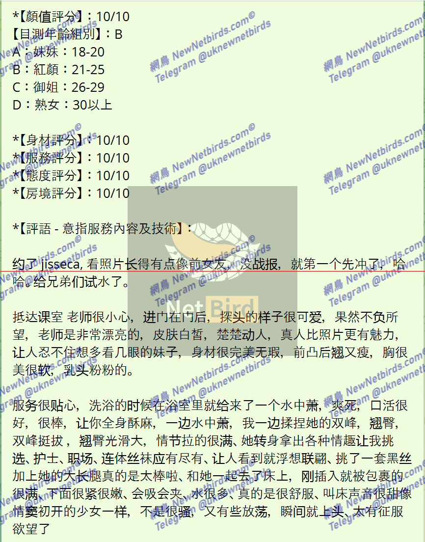 戰號 504 2.png